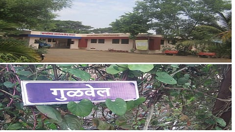 Mangle from Shirala taluka positive story sangli