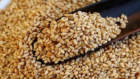 sesame