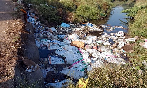 In Shevgaon, dead hens were thrown into the river