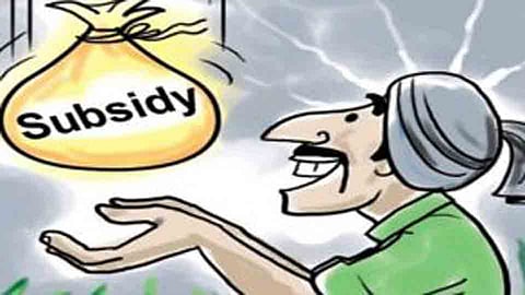 Subsidysubsidy