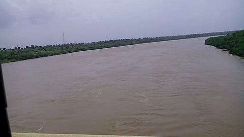 tapi river