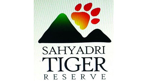 Shayadri Tiger Reserve 