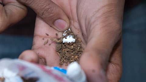 tobacco