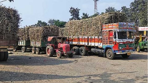  corona  cause a shortage of laborers for cane harvesting  Similarly the number of trucks tractors and bullock carts coming to the district from outside will be less