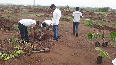 tree planting.jpg