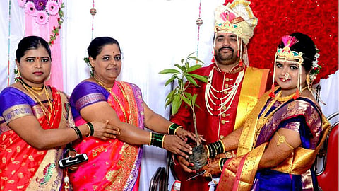 Pune news tree plant distribute in marriage ceremony 
