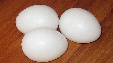 truth of Plastic egg rumor viral on social media
