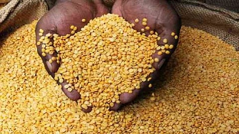 buying of red gram starting from Wednesday 