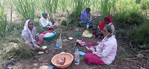 social distancing farmer workers kolhapur corona virus