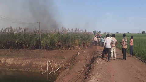 fire to sugar can farm in belgaum 15 ekar sugarcane damage
