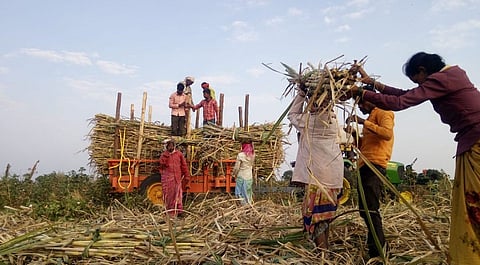 संग्रहित छायाचित्र 