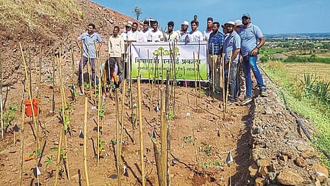 The Miyavaki Forest Project is taking shape in Nangole