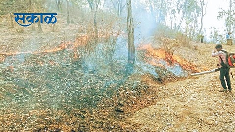 Satara Latest Marathi News