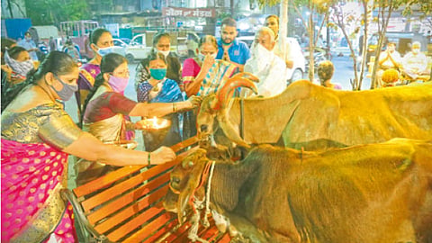 वसुबारस साजरी; दीपोत्सवाला उत्साहात सुरूवात 