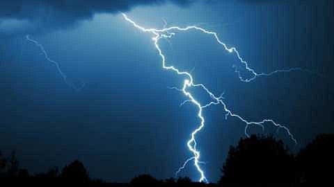 Eleven goats of a farmer were killed by lightning