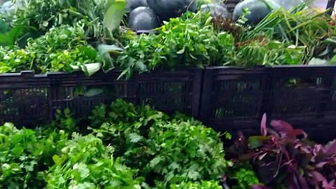 vegetables
