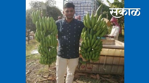 पुण्यातील नोकरीला तरुणाने केले बाय बाय; आणि गावी शेती करून मेहनतीचा वाजविला सातासमुद्रापार डंका  