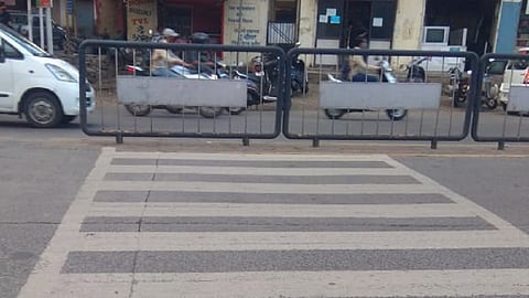 warje.jpg