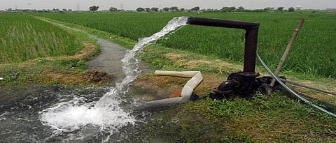 akola Lack of economic policy in agricultural irrigation management in the state?