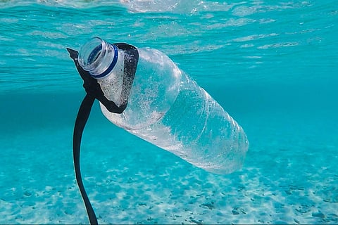 Shrigonda water is most polluted in Nagar district