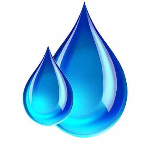 Sina and Bhogavati to join water struggle committee