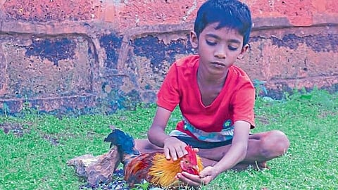 zunju manju short film in international festival in mangadgad ratnagiri