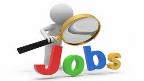  Most Searched Jobs During Covid