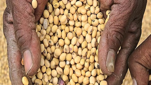 Rates of Soyabeen are over 7 thousand but farmers not getting enough money 
