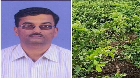 success story farmer shivraj salunke nanibai chikhali kolhapur