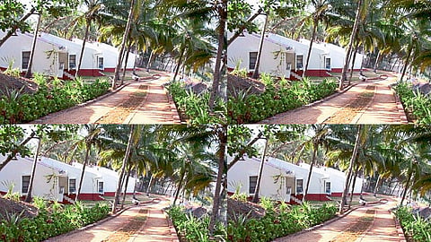 Work from Nature by MTDC for those who bored in Corona work from home