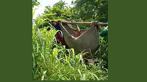 Special Report | आदिवासी गावात सुविधांची वानवा; जव्हारमधील आदिवासी जगताहेत हलाखीचे जीवन 