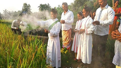 VIDEO| ठाणे जिल्ह्यात पाळली जाते अनोखी प्रथा; भाताच्या कापणीपूर्वी ख्रिश्‍चन धर्मगुरू, शेतकरी करतात प्रार्थना