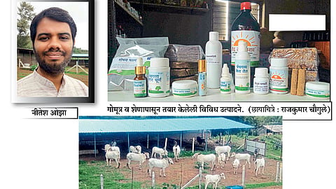 अभियंता नोकरी सोडून करतोय चाळीस देशी गाईंचे संगोपन 