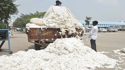 it becomes easy to sell cotton for farmers as digital registration done 