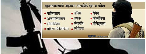 पाकिस्तान दहशतवाद्यांचे नंदनवन : अमेरिकेकडून शिक्कामोर्तब
