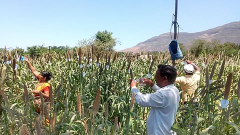 दाणा खा, पाणी प्या अन्‌ भुर्रऽऽ उडून जा 