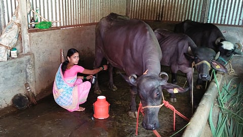 कसबा बीडच्या 5 महिलांची दुग्ध व्यवसायातून प्रगती 