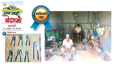 #Specialtyofvillage  कलाकुसरीच्या अडकित्त्यांचं बागणी
