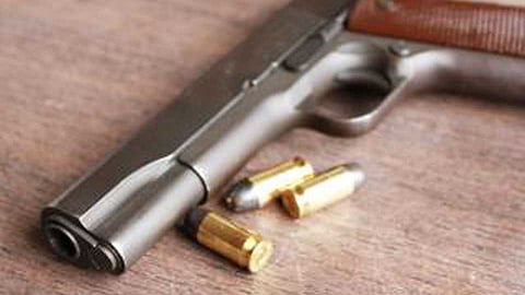 Gun