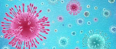 coronavirus