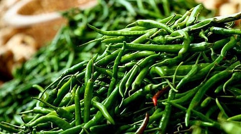 हिरवी मिर्ची (Green Chilies)- तिखट  