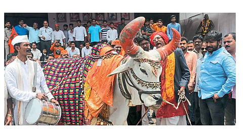 #MarathaKrantiMorcha आरक्षण मिळणार का? होय म्हणतोय, होय म्हणतोय...