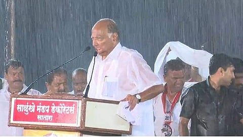 Vidhan Sabha 2019 ncp leader sharad pawar historical speech at satara