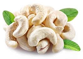 falling cashew prices kokan sindhudurg