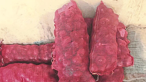 Onion Imported From Egypt Available In Belgaum Market 