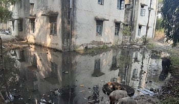  Drainage Water In Aurabgabad Ghati Doctors' Residences 