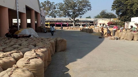 farmers are not coming in APMC wardha 