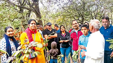 वृक्षलागवडीदरम्यान माहिती देताना ‘वृक्षमित्र बाबूराव पेठकर.