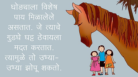 Balmitra