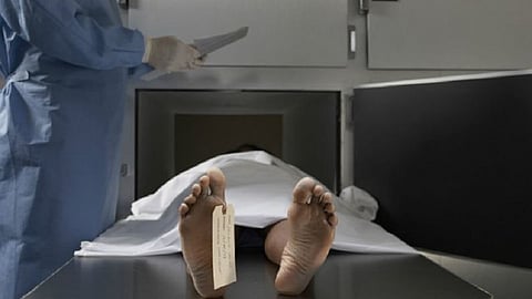 mortal body 